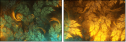 163652276