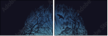 164648563