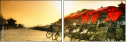 16482031