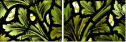 16903361