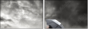 16975398