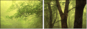 18166529