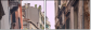 20333502