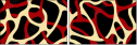 20655460
