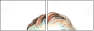212484110