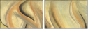 21450824
