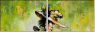 21588085