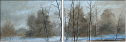 21605246