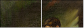 21653701