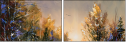 21655913