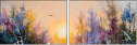 21659571