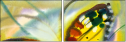 21683658