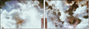 217692182