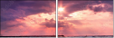 22254013