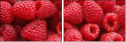 22816665