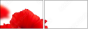 22836403