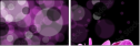 23152561