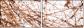 23639472