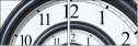 23691458