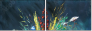 24170906