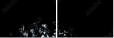 24792295