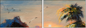 24819768