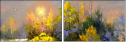 25158579