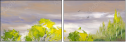 25159336