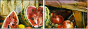 25162532