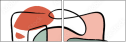 252233360