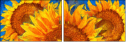 256376669