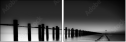 25660974