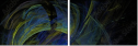 26166751