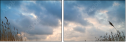 26174733