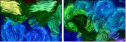 262127014