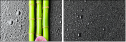 26606581
