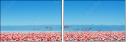 26651853