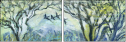 26973038