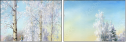 26973072