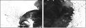 279359235
