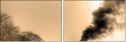 29517510