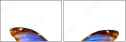29644334