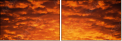 29892519