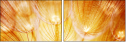 30258126