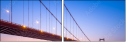 304313822