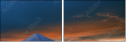 30498202
