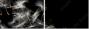 30521892