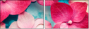 30909290