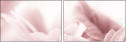 31030439
