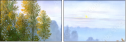 31191813